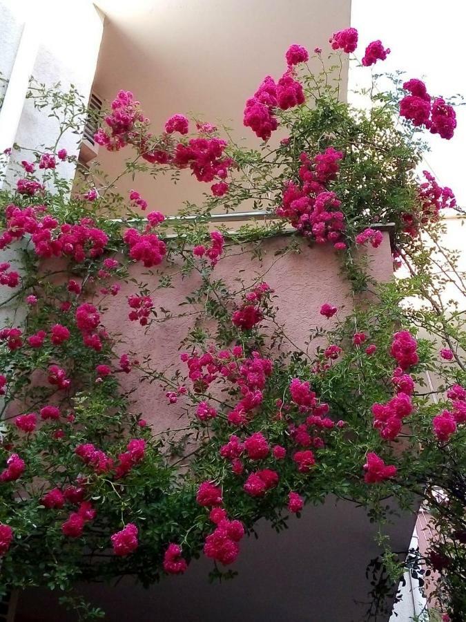 רבדה Apartment In Complex Tara מראה חיצוני תמונה